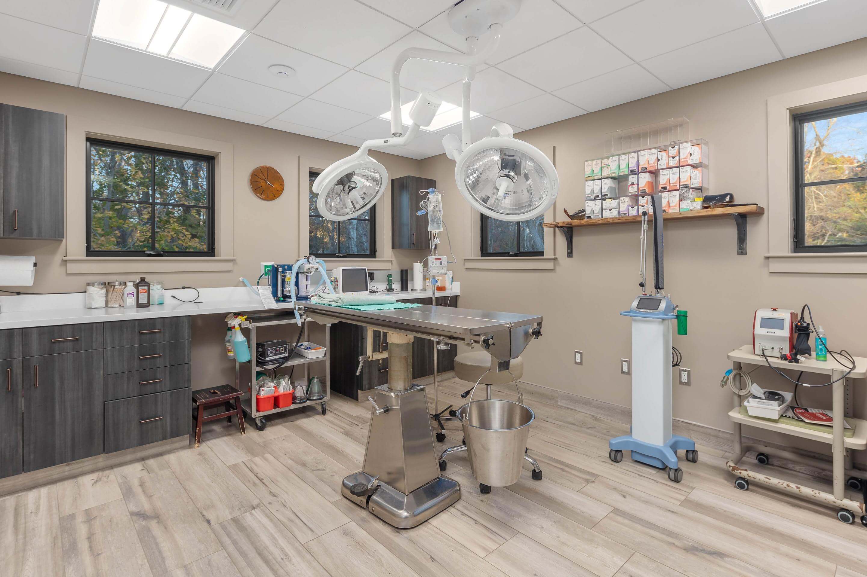 Duxbury Animal Hospital surgical suite