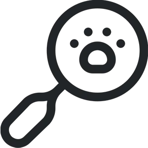 early detection icon