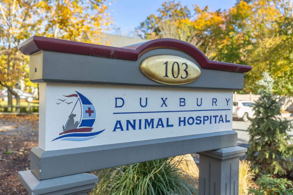 Duxbury Animal Hospital exterior business sign