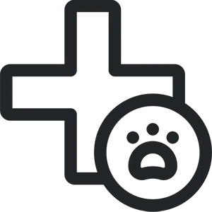 patient icon