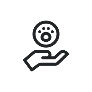 vision icon
