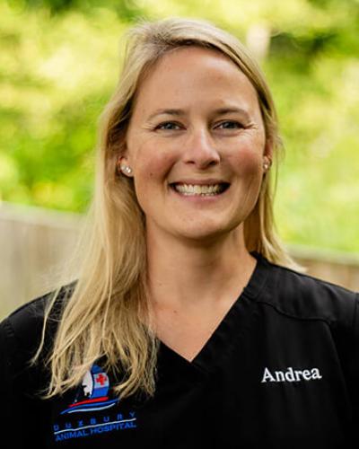 andrea collins