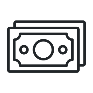 cash icon
