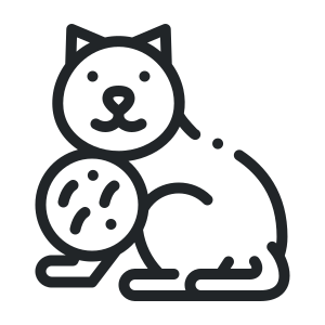 Cat Allergy