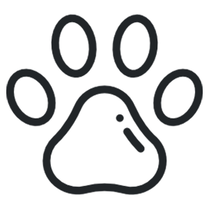 pets