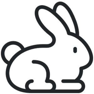 rabbit
