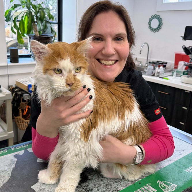 woman holding orange white cat