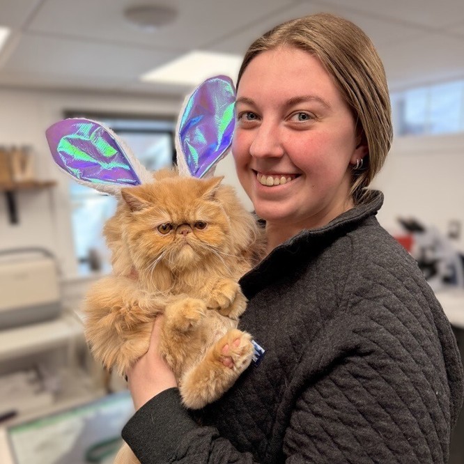 woman holds cat bunny ears