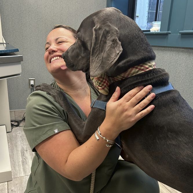 woman hugging large dog
