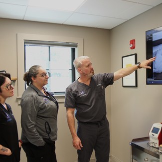 doctor pointing medical screen