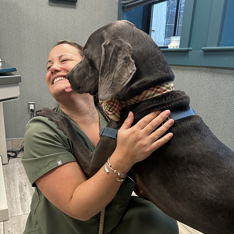 Duxbury Animal Hospital team member getting kisses from dog